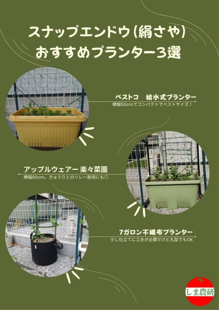 スナップエンドウ（絹さや）に使えるおすすめプランター3種類の比較写真。給水式プランター、横長プランター、不織布ポットの使用例。