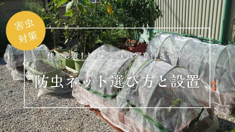 防虫ネット選び方と設置のアイキャッチ：秋冬野菜の害虫対策を実践写真で解説