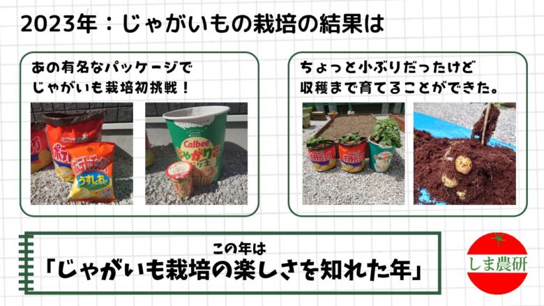 2023年のじゃがいも栽培結果をまとめた画像。ユニークな容器での初挑戦と、小ぶりながら収穫できた様子