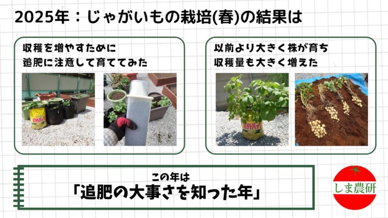 2025年春のじゃがいも栽培で、追肥を意識した管理と生長・収穫の変化をまとめた画像