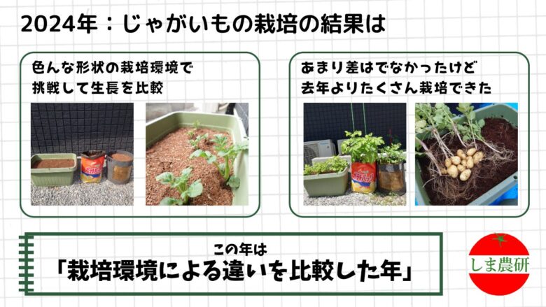 異なる形の容器で育てた2024年のじゃがいもの生長と収穫結果を比較した画像