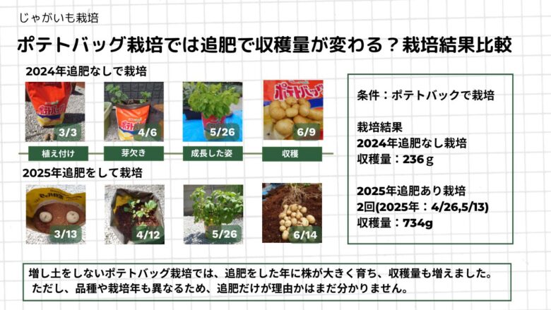 ポテトバッグで追肥なしと追肥ありのじゃがいも栽培を比べ、株の生長と収穫量の違いをまとめた画像