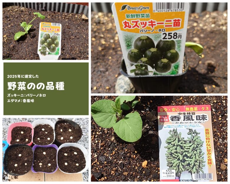 2025年に育てるズッキーニとエダマメの品種