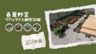 春夏野菜の栽培計画とリアルタイム観察記録