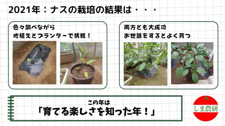 地植えとプランターで育てたナスを比較し、生育の様子を観察した家庭菜園の記録画像