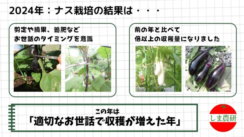 剪定や摘果を行いながら育てたナスの生育と収穫量の変化を記録した家庭菜園の画像