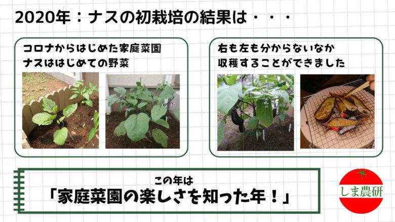 ナスの初栽培として地植えで育て、収穫までの様子を記録した家庭菜園の観察画像