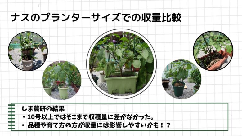 様々なプランターで栽培したナスの生長の様子