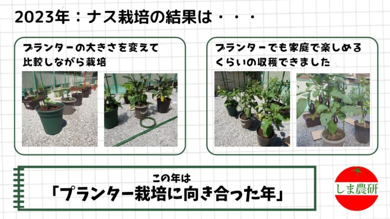 大きさの異なるプランターでナスを育て、生育と収穫量を比較した家庭菜園の記録画像