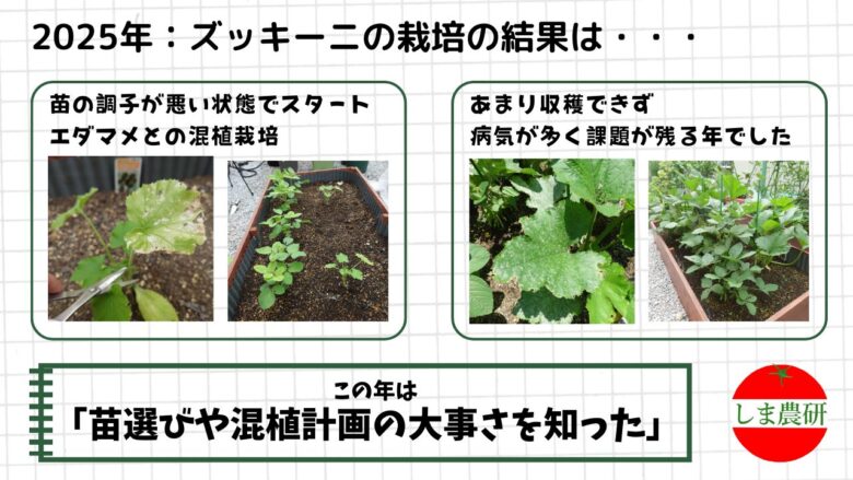 調子の良くない苗からスタートしたズッキーニとエダマメの混植栽培の様子を記録した観察画像