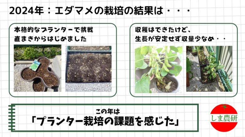 プランターに直まきしたエダマメの発芽から収穫までの様子と、生長のばらつきが見られた2024年の記録画像
