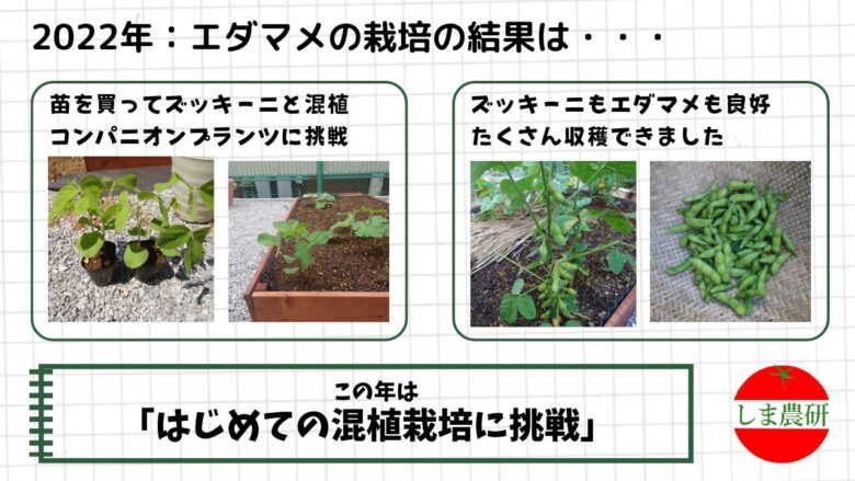 ズッキーニと混植した2022年のエダマメ栽培と収穫の様子を記録した画像