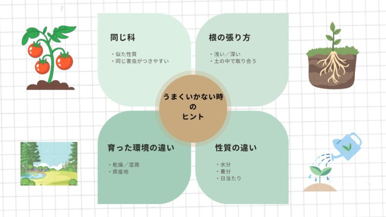 コンパニオンプランツがうまくいかないときの見方を整理した図。同じ科・根の張り方・性質の違い・育った環境の違いの4つの視点から、組み合わせを考えるヒントをまとめたもの