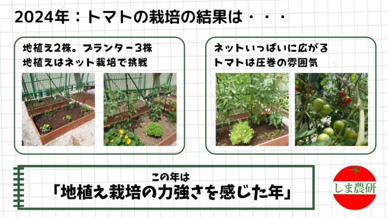地植えとプランターで育てたミニトマトと中玉トマトの栽培記録画像