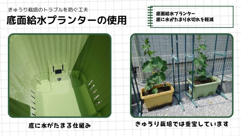 底面給水プランターの仕組みと使用例を紹介した図解。プランター底部に水がたまる構造や、実際にきゅうりを育てている様子を掲載し、水切れ対策として底面給水プランターを活用していることを解説している。