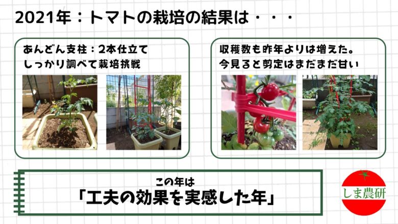 プランターで育てたミニトマトのあんどん支柱栽培と収穫の記録画像