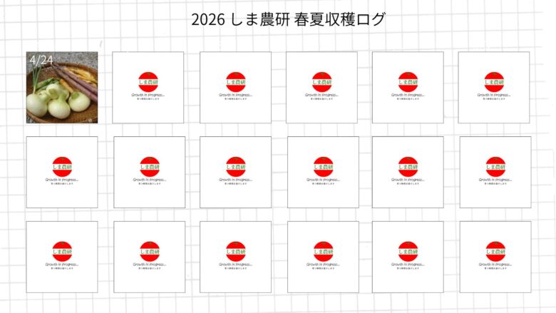 2026年春夏の家庭菜園収穫ログ。日付ごとの収穫写真と、月別の収穫数を記録するシンプルなレイアウト