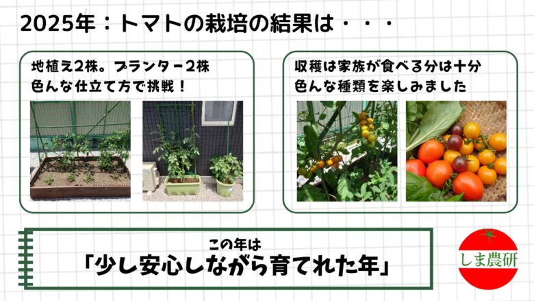 地植えとプランターで育てたミニトマトと中玉トマトの収穫記録画像