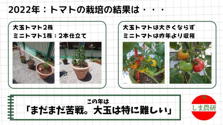 大型プランターで育てたミニトマトと大玉トマトの栽培記録画像