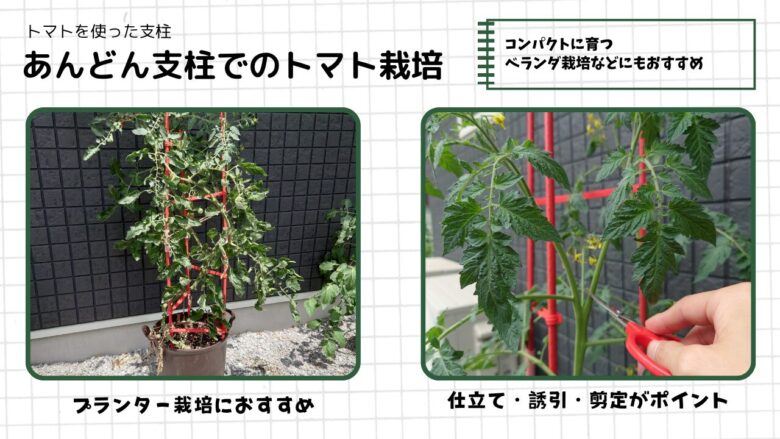 あんどん支柱を使ったミニトマト栽培の図解。左はプランターで育つミニトマト全体の様子、右は支柱へ誘引しながらわき芽を剪定している様子。コンパクトに育てやすく、ベランダ栽培にもおすすめの支柱として紹介している。
