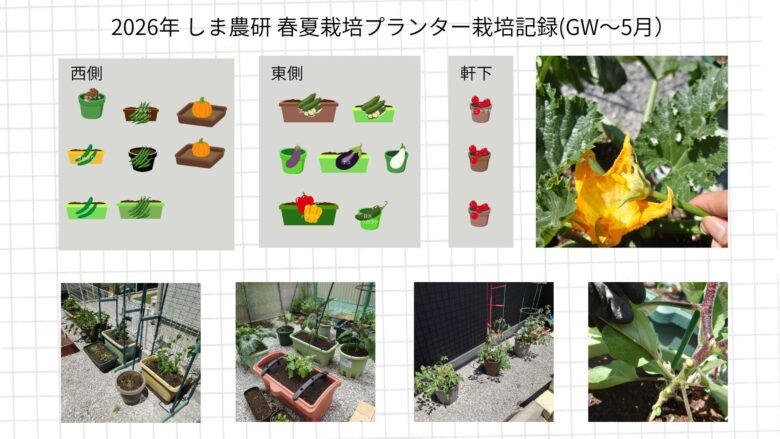 2026年GWから5月にかけてのしま農研春夏栽培プランター記録として、西側・東側・軒下の配置図とズッキーニの花やナスの実など生長の様子をまとめた画像