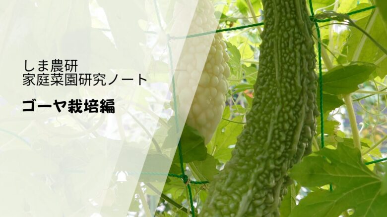 ゴーヤを育てる様子をまとめた『しま農研 家庭菜園研究ノート ゴーヤ栽培編』のアイキャッチ画像