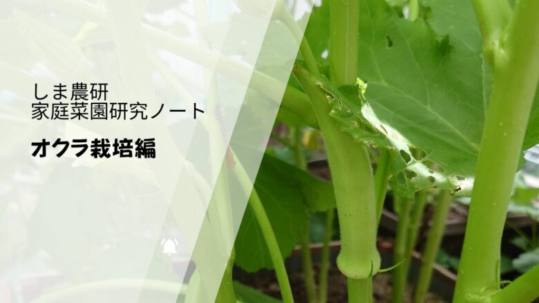 オクラの実や葉の様子を使った「しま農研 家庭菜園研究ノート オクラ栽培編」のアイキャッチ画像