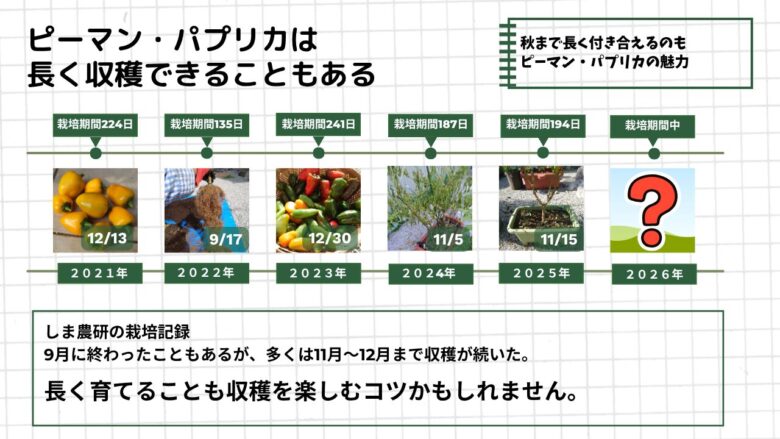 2021年から2026年までのピーマン・パプリカ栽培記録を並べ、収穫終了時期と栽培期間を比較し、秋まで長く収穫できた年があることを示した図。