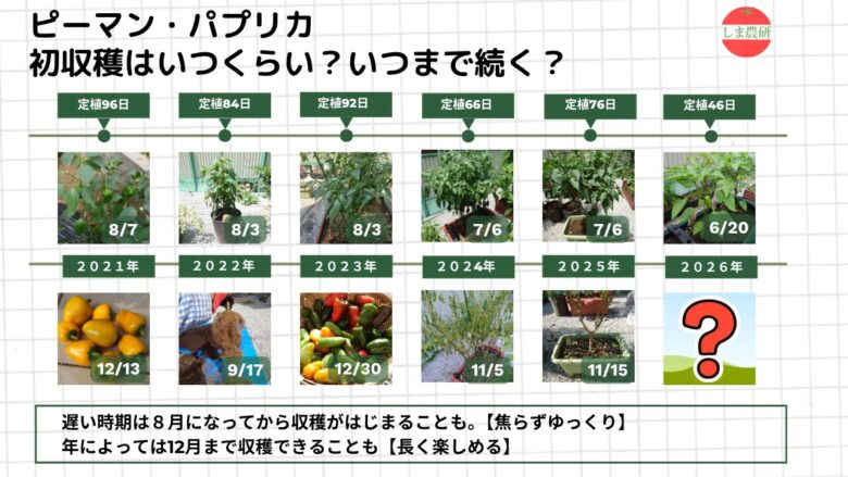 ピーマン・パプリカの定植から初収穫までの日数と栽培終了時期を年ごとにまとめた図解