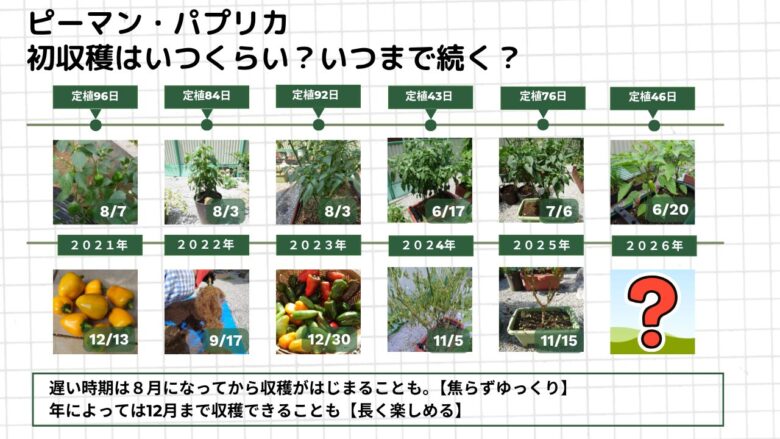 ピーマン・パプリカの定植から初収穫までの日数と栽培終了時期を年ごとにまとめた図解