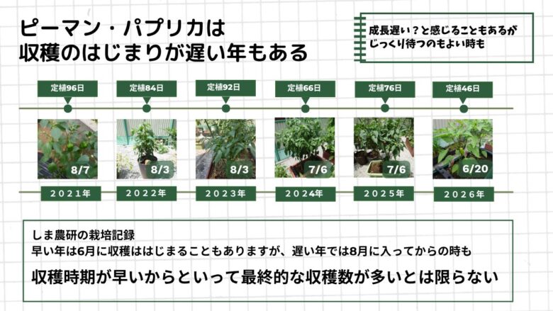 021年から2026年までのピーマン・パプリカ栽培記録を並べ、定植から初収穫までの日数と収穫開始時期の違いを比較した図。