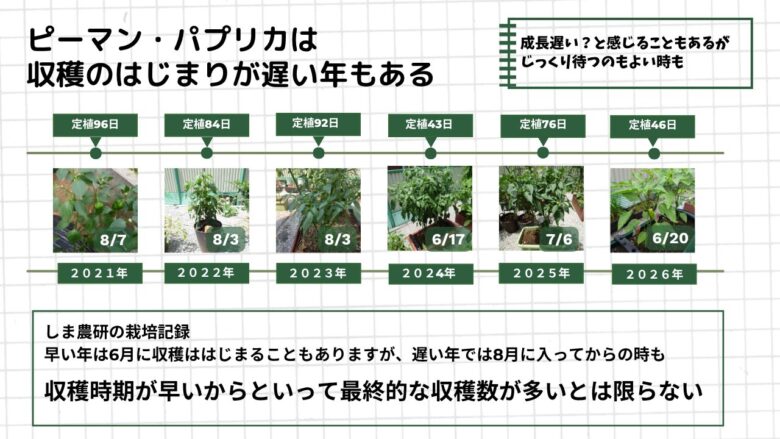 021年から2026年までのピーマン・パプリカ栽培記録を並べ、定植から初収穫までの日数と収穫開始時期の違いを比較した図。